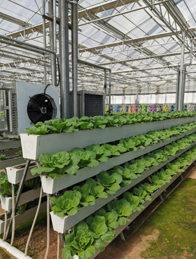 制砂機(jī)廠家