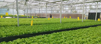 制砂機(jī)廠家